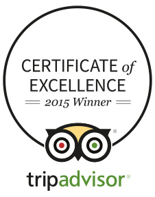 Certificate of Excelence 2015